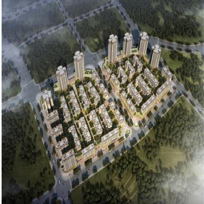 重庆市房地产开发项目详情查看指南